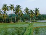  Photo Credit: Photo by Chrysanthi Ha on Unsplash