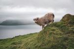  Photo Credit: Photo by Isak Sandin on Unsplash