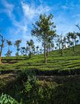  Photo Credit: Photo by Rishi Sreekar on Unsplash