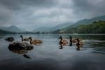  Photo Credit: Photo by Clovis Wood on Unsplash