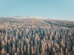  Photo Credit: Photo by Janosch Jost on Unsplash