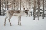  Photo Credit: Photo by Janosch Jost on Unsplash