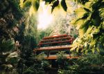  Photo Credit: Photo by John T on Unsplash