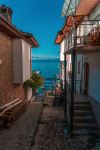  Photo Credit: Photo by Fisnik Murtezi on Unsplash
