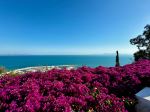 Photo Credit: Photo by Ahmed Qinawy on Unsplash