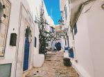  Photo Credit: Photo by Alex Vasey on Unsplash
