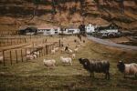 Tjørnuvík - Photo Credit: Photo by Annie Spratt on Unsplash
