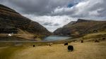 Saksun - Photo Credit: Photo by Michael Fousert on Unsplash