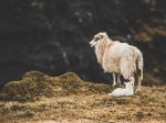  Photo Credit: Photo by Hans Christian Strikert on Unsplash