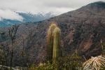  Photo Credit: Photo by Christopher Garcia Ordoñez on Unsplash