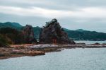 Torii at Kii Katsuura, Wakayama - Photo Credit: Photo by Susann Schuster on Unsplash