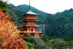 Nachiyama Pagoda - Photo Credit: Photo by Susann Schuster on Unsplash