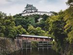 Wakayama, Japan - Photo Credit: Photo by Andrea De Santis on Unsplash