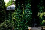 Marmorschlössl - Photo Credit: Photo by Daniela Holzer on Unsplash
