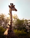  Photo Credit: Photo by Doretha Rost on Unsplash