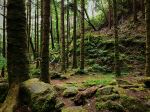 Photo Credit: Photo by Tommy Bond on Unsplash