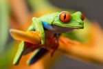  Photo Credit: Photo by Stephanie LeBlanc on Unsplash