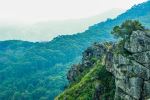  Photo Credit: Photo by mugi jo on Unsplash