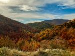  Photo Credit: Photo by Endri Killo on Unsplash