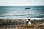  Photo Credit: Photo by Gustavo Sánchez on Unsplash