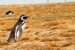  Photo Credit: Photo by Gustavo Sánchez on Unsplash