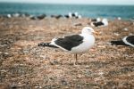  Photo Credit: Photo by Gustavo Sánchez on Unsplash