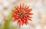 Photo Credit: Photo by Travis Leery on Unsplash