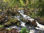 Aros Park - Photo Credit: Photo by Sergey Konstantinov on Unsplash