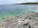 Burnt Point Loop - Photo Credit: Photo by neela jalilian on Unsplash