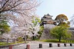 Kumamoto Castle - Photo Credit: Photo by Zion C on Unsplash
