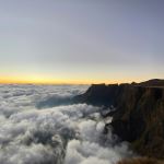  Photo Credit: Photo by Jandré van der Walt on Unsplash