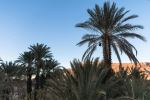  Photo Credit: Photo by Desert Morocco Adventure on Unsplash