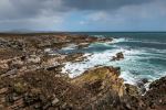  Photo Credit: Photo by Paul Carroll on Unsplash