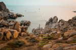  Photo Credit: Photo by Anthony Dean on Unsplash