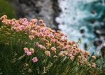  Photo Credit: Photo by Connor Misset on Unsplash