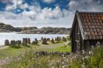  Photo Credit: Photo by Daniel Moqvist on Unsplash