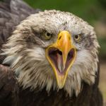  Photo Credit: Photo by Dirk van Wolferen on Unsplash