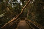  Photo Credit: Photo by Brice Cooper on Unsplash
