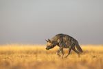  Photo Credit: Photo by Rohit Varma on Unsplash