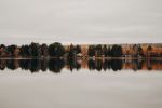  Photo Credit: Photo by Matias North on Unsplash