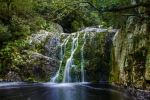 Harold Porter National Botanical Garden - Photo Credit: Photo by Marlin Clark on Unsplash
