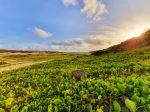  Photo Credit: M2Photo Aruba