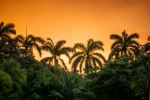  Photo Credit: Photo by Clay LeConey on Unsplash