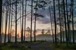 Photo Credit: Photo by Maksim Shutov on Unsplash