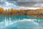  Photo Credit: Photo by topcools tee on Unsplash