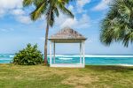  Photo Credit: Photo by AL Seveni on Unsplash