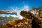 Kranshoek Trail - Photo Credit: Photo by Brahm Meyer on Unsplash