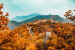 Photo Credit: Photo by Hanson Lu on Unsplash
