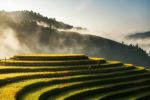  Photo Credit: Photo by Hoach Le Dinh on Unsplash