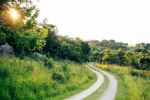  Photo Credit: Photo by Teddy Kubheka on Unsplash